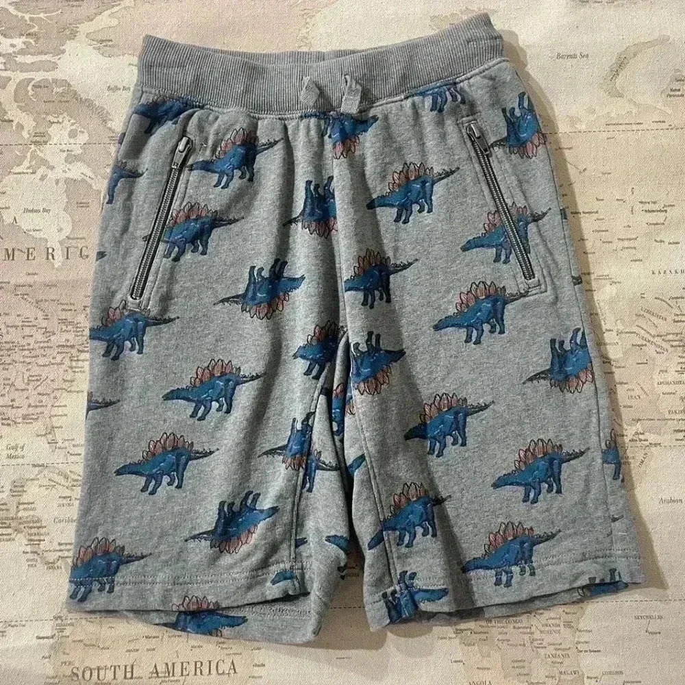 HA Dinosaur Terry Shorts Size 8